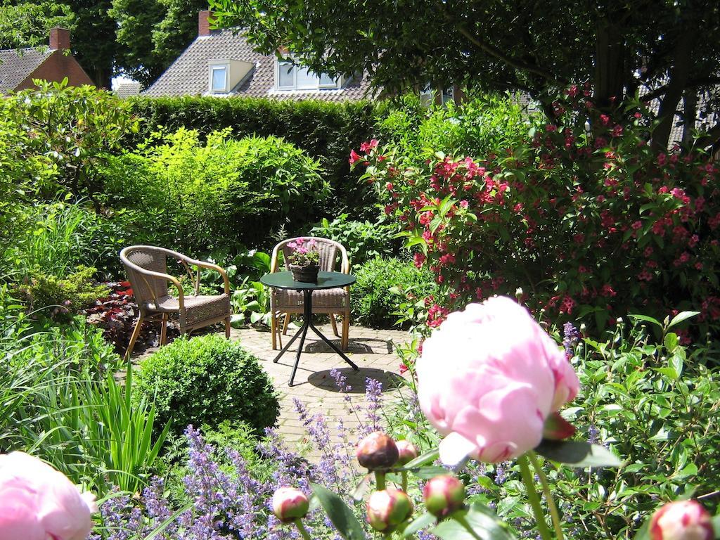 B&B De Esdoorn Norg Bagian luar foto