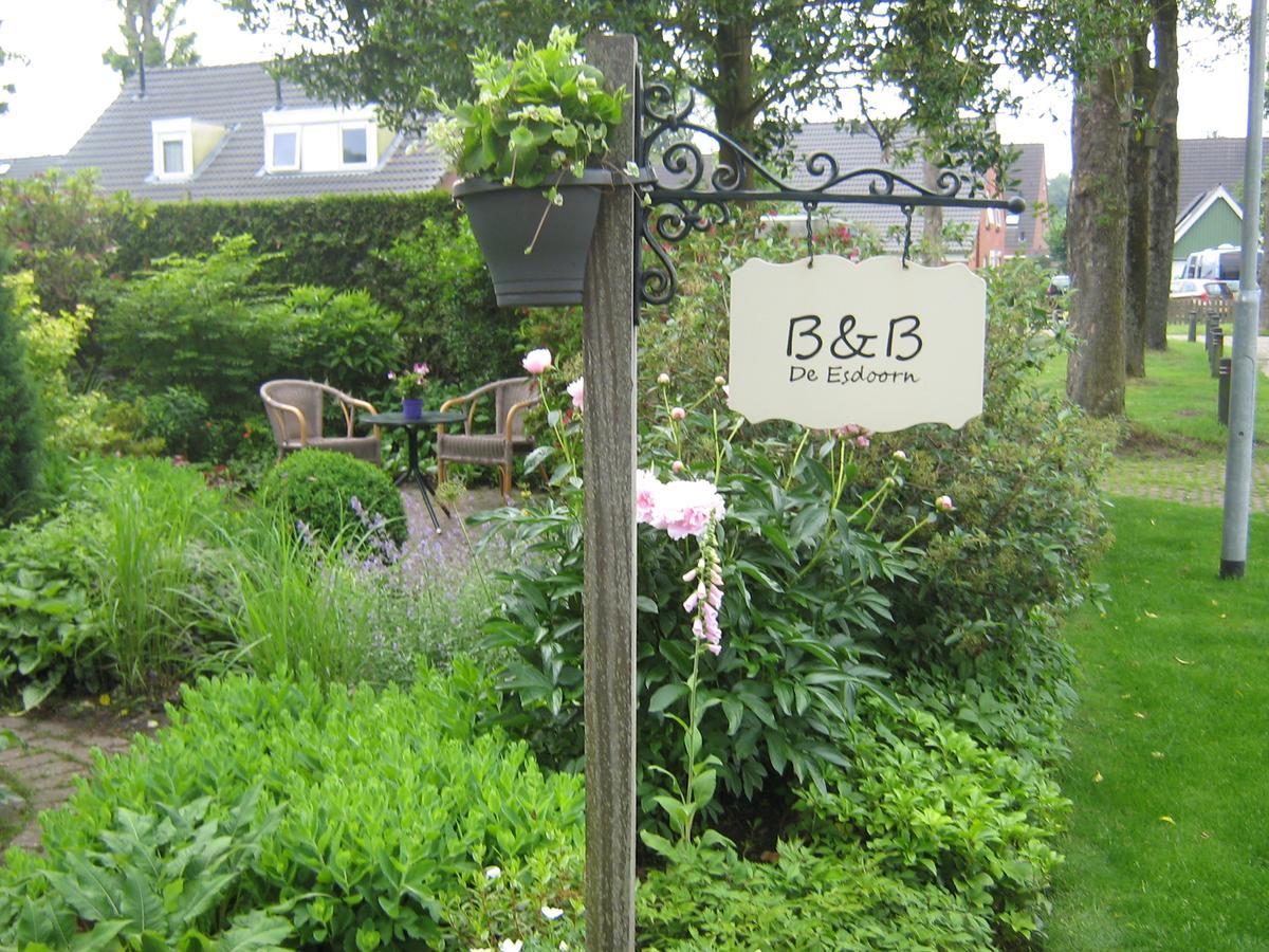 B&B De Esdoorn Norg Bagian luar foto